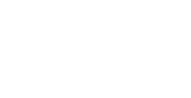 COA Auditing